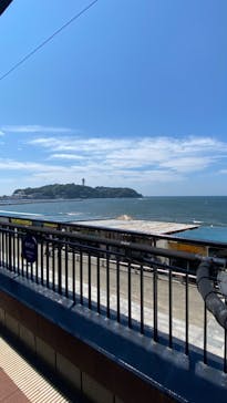 新江ノ島水族館に投稿された画像（2024/8/12）