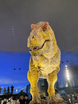 福井県立恐竜博物館に投稿された画像（2024/8/12）