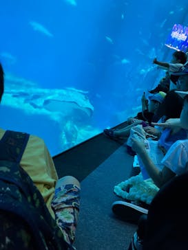 アクアワールド茨城県大洗水族館に投稿された画像（2024/8/12）