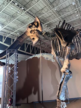 巨大恐竜展2024に投稿された画像（2024/8/12）