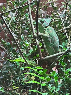 マクセル アクアパーク品川に投稿された画像（2024/8/12）