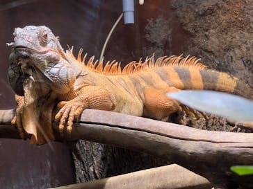 マクセル アクアパーク品川に投稿された画像（2024/8/12）