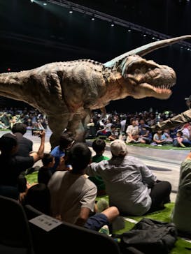 DINO-A-LIVE ダイナソーサマーキャンプに投稿された画像（2024/8/12）