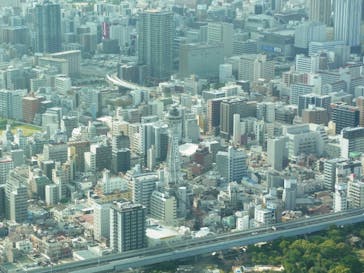 ハルカス300(展望台)に投稿された画像（2024/8/12）