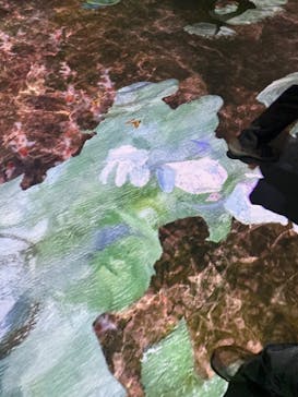 モネ＆フレンズ・アライブに投稿された画像（2024/8/12）