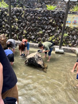 地底王国「美川ムーバレー」に投稿された画像（2024/8/12）