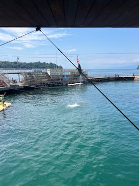 伊豆・三津シーパラダイスに投稿された画像（2024/8/12）