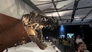 DinoScience 恐竜科学博 ～ララミディア大陸の恐竜物語～ 2024@OSAKAに投稿された画像（2024/8/12）