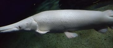 箱根園水族館に投稿された画像（2024/8/12）