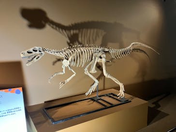 巨大恐竜展2024に投稿された画像（2024/8/12）