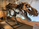 巨大恐竜展2024に投稿された画像（2024/8/12）