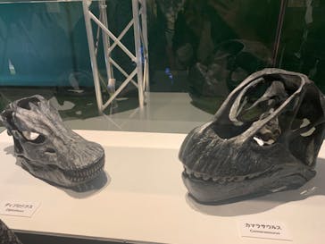 巨大恐竜展2024に投稿された画像（2024/8/12）