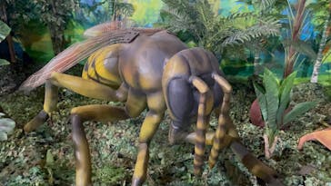 絶体絶命！？キミたちのサバイバル in ときメッセに投稿された画像（2024/8/12）