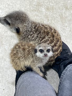 アニタッチアクアシティお台場に投稿された画像（2024/8/12）