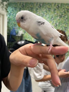 アニタッチアクアシティお台場に投稿された画像（2024/8/12）