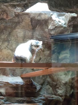 恩賜上野動物園に投稿された画像（2024/8/12）