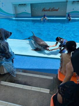 南知多ビーチランド＆南知多おもちゃ王国に投稿された画像（2024/8/12）