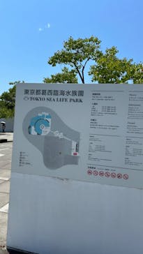 葛西臨海水族園に投稿された画像（2024/8/12）