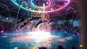 マクセル アクアパーク品川に投稿された画像（2024/8/12）