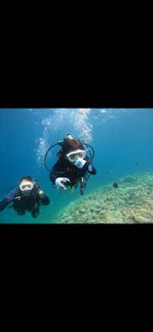 武藤潜水に投稿された画像（2024/8/12）