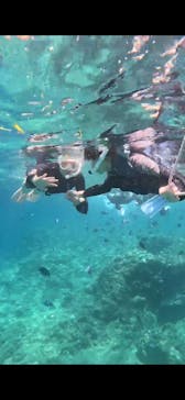 武藤潜水に投稿された画像（2024/8/12）