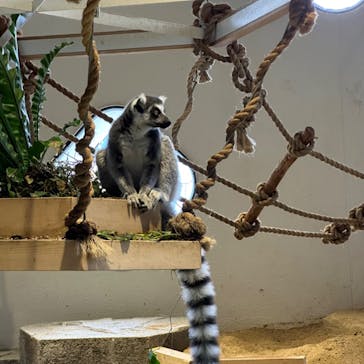 NIFREL（ニフレル）に投稿された画像（2024/8/12）