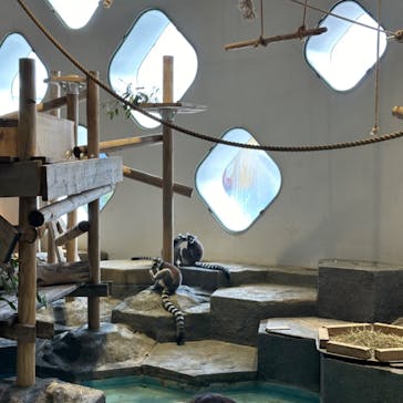 NIFREL（ニフレル）に投稿された画像（2024/8/12）