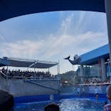 大分マリーンパレス水族館 「うみたまご」に投稿された画像（2024/8/12）