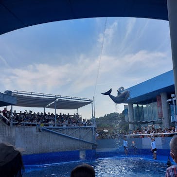 大分マリーンパレス水族館 「うみたまご」に投稿された画像（2024/8/12）
