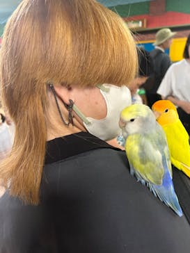 いきもの探検隊上尾に投稿された画像（2024/8/12）