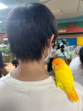 いきもの探検隊上尾に投稿された画像（2024/8/12）