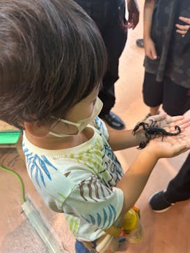 いきもの探検隊上尾に投稿された画像（2024/8/12）