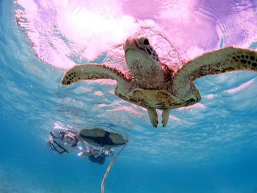 CHAMP TOUR　宮古島に投稿された画像（2024/8/12）