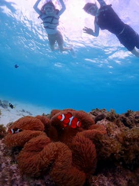 CHAMP TOUR　宮古島に投稿された画像（2024/8/12）