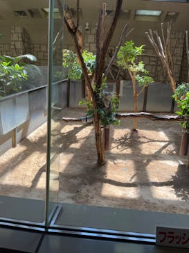 名古屋市東山動植物園に投稿された画像（2024/8/12）