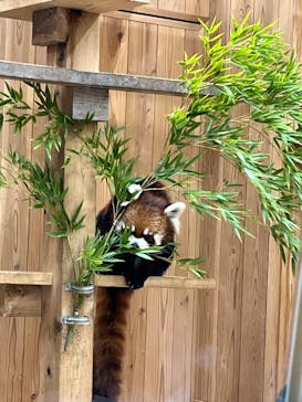 名古屋市東山動植物園に投稿された画像（2024/8/12）