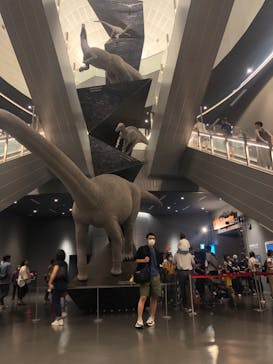 福井県立恐竜博物館に投稿された画像（2024/8/12）