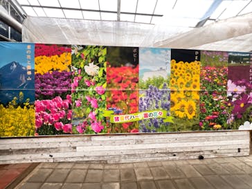 猪苗代ハーブ園に投稿された画像（2024/8/12）