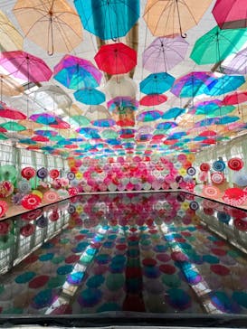 猪苗代ハーブ園に投稿された画像（2024/8/12）