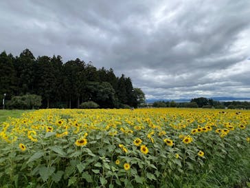 猪苗代ハーブ園に投稿された画像（2024/8/12）