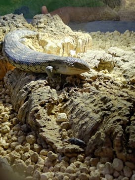 AOAO SAPPOROに投稿された画像（2024/8/12）