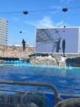 名古屋港水族館に投稿された画像（2024/8/12）