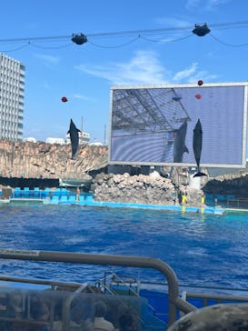 名古屋港水族館に投稿された画像（2024/8/12）
