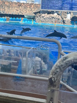 名古屋港水族館に投稿された画像（2024/8/12）
