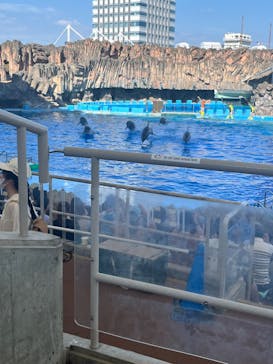 名古屋港水族館に投稿された画像（2024/8/12）