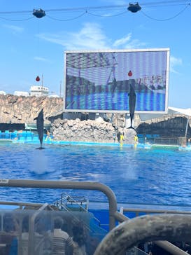 名古屋港水族館に投稿された画像（2024/8/12）