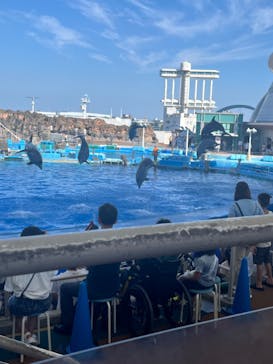 名古屋港水族館に投稿された画像（2024/8/12）