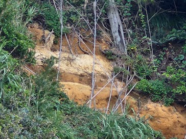 江の島岩屋に投稿された画像（2024/8/12）
