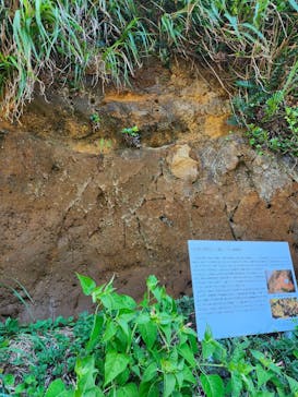 江の島岩屋に投稿された画像（2024/8/12）