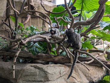 那須どうぶつ王国に投稿された画像（2024/8/12）